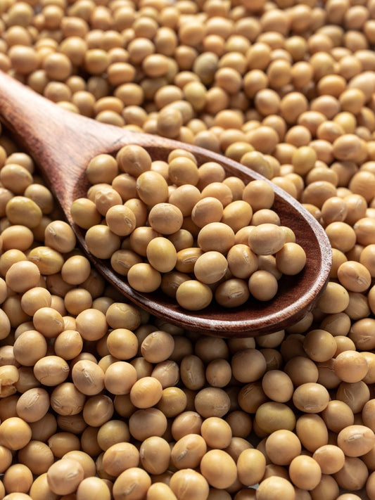 Soyabean