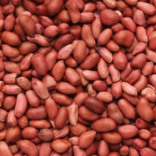 Raw Peanut