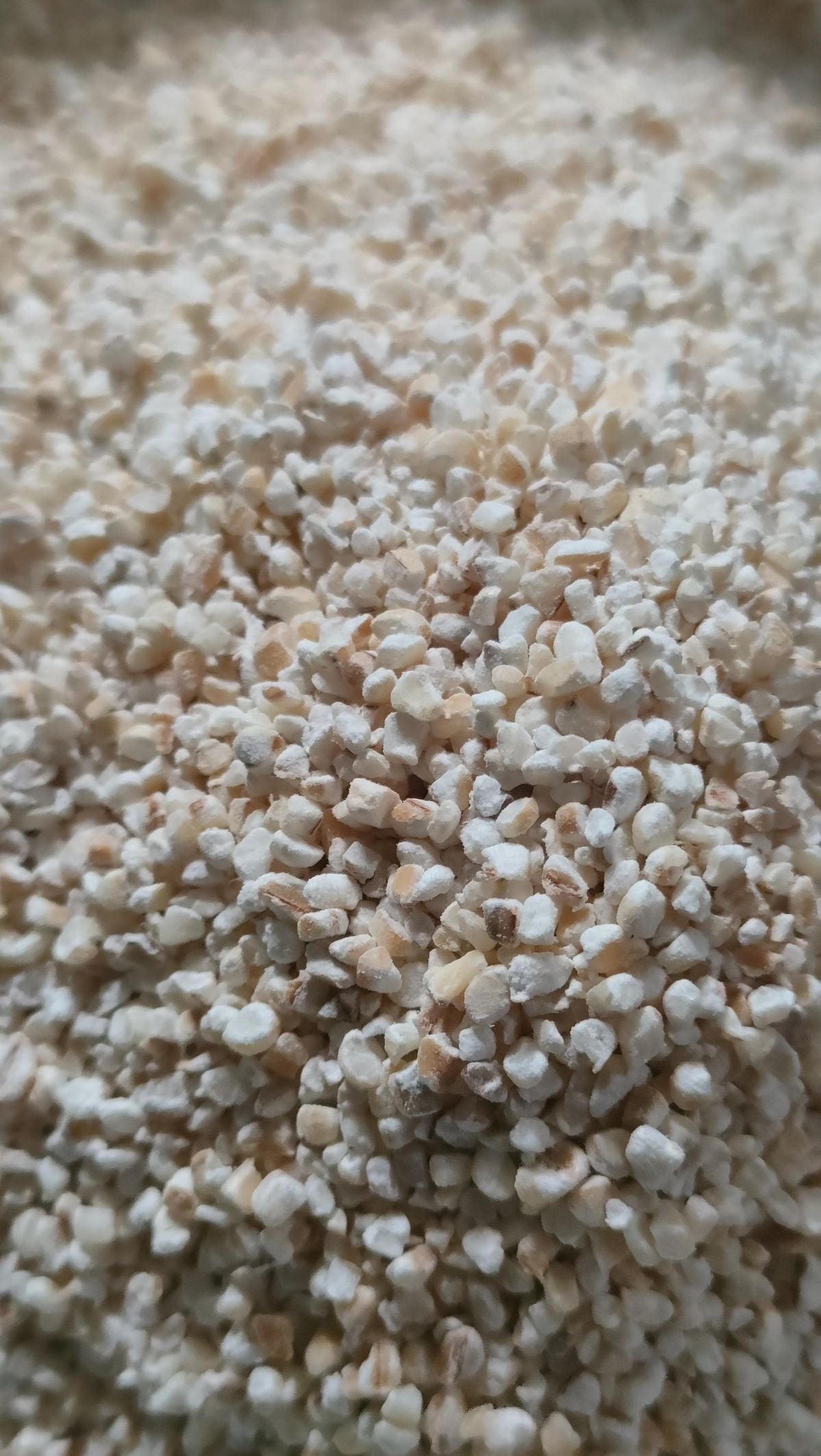 Jau/Barley Dalia