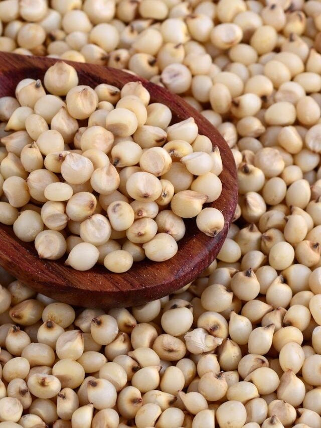 Jowar/Sorghum Millet