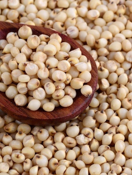 Jowar/Sorghum Millet