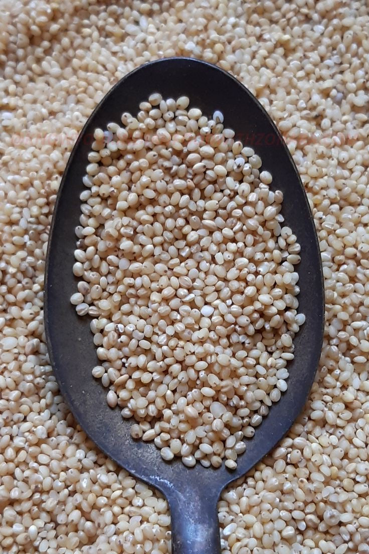 Barnyard Millet
