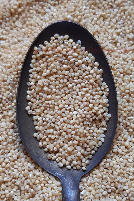 Barnyard Millet