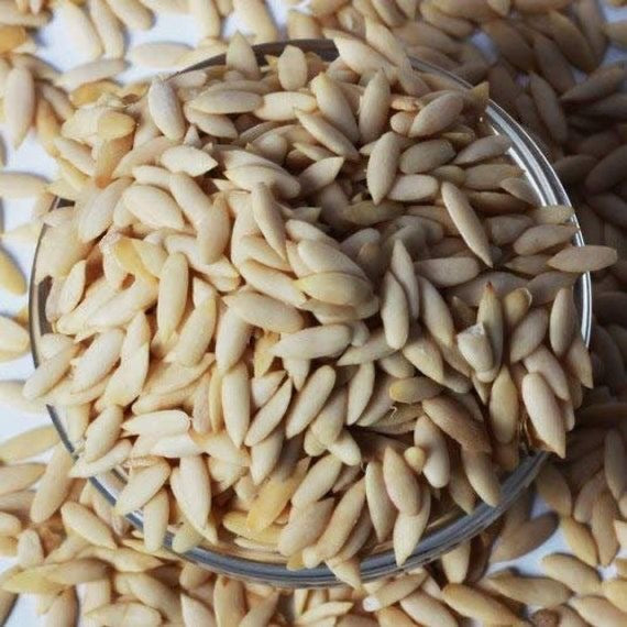 Melon Seed