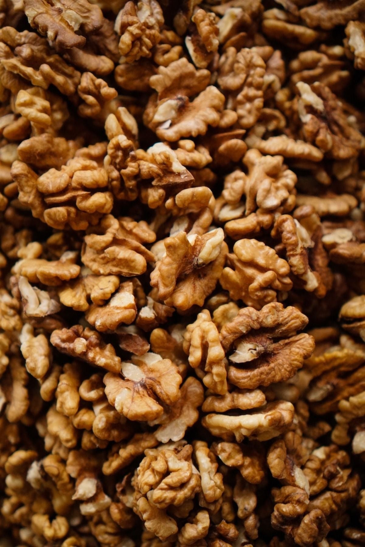 Walnut