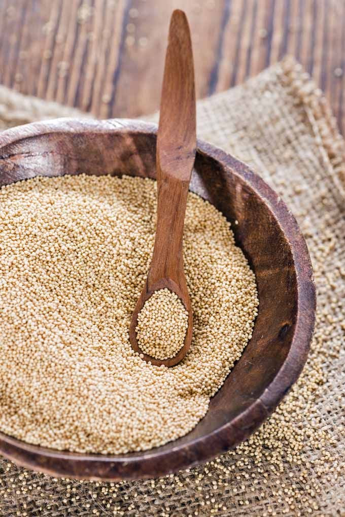 Amaranth/Rajgir Seeds