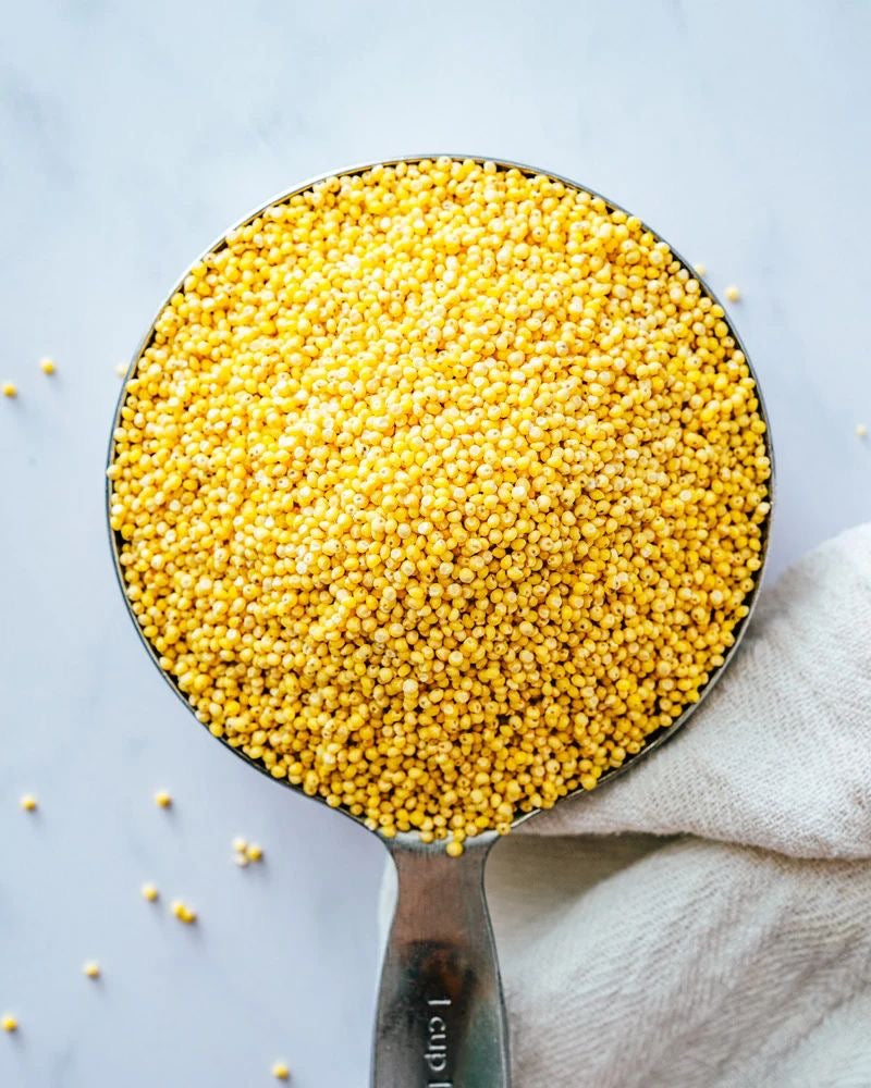 Foxtail Millet