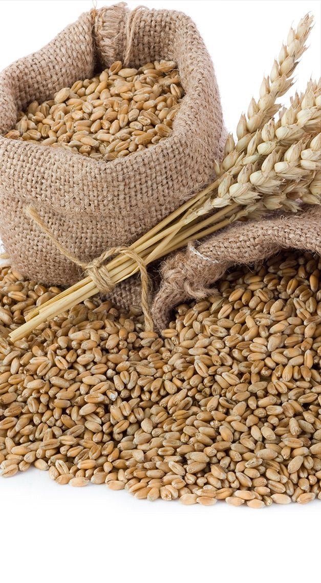 Mp Wheat Atta