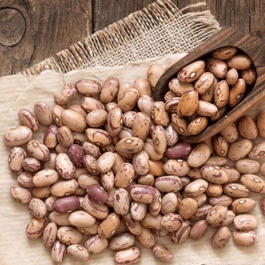 Rajma Chitra