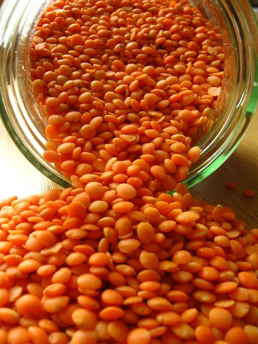 Lal Malka