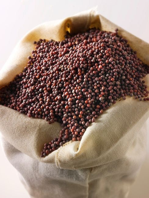 Black Mustard Seeds
