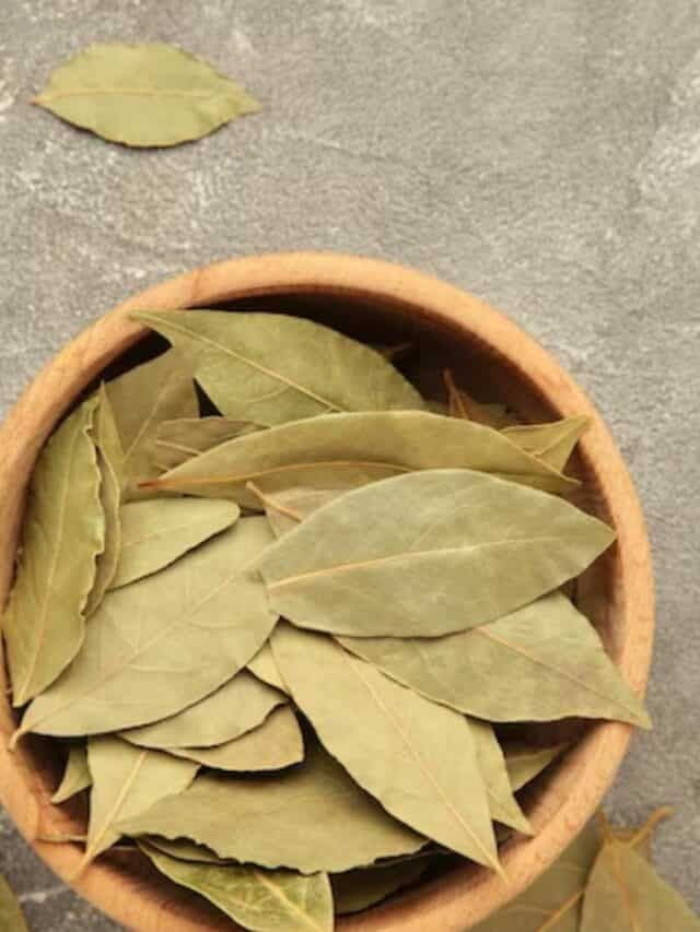 Tej Patta
