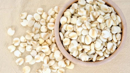 White Corn